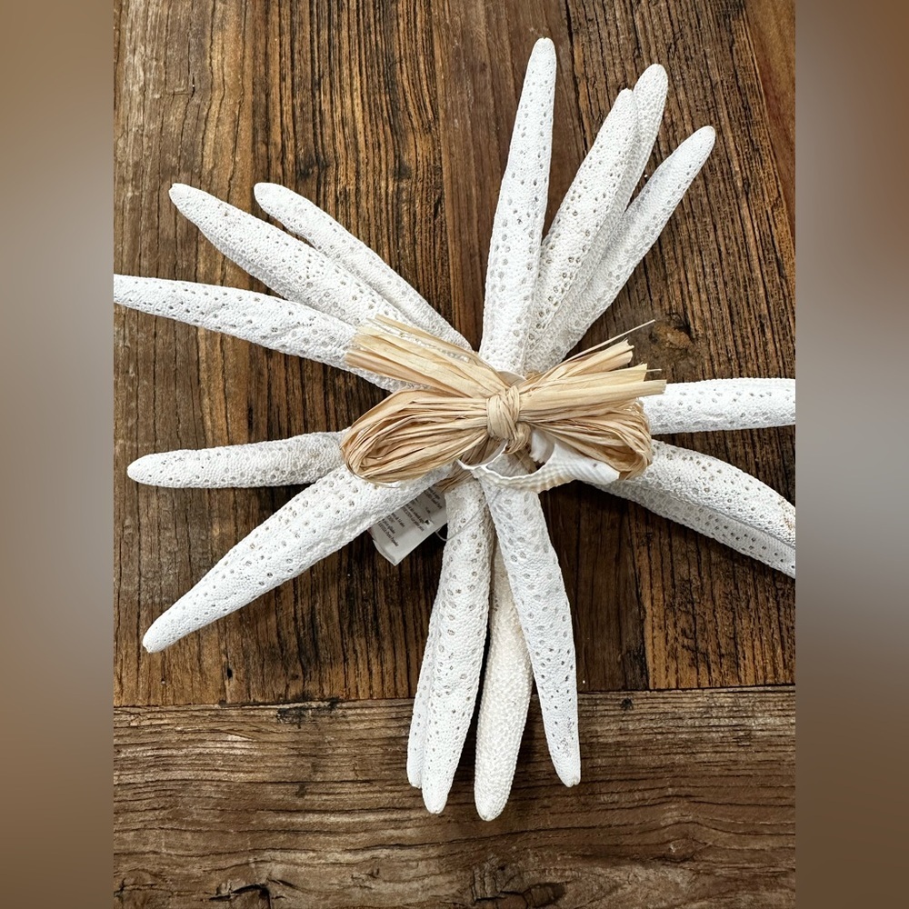Decorative White Starfish Bundle